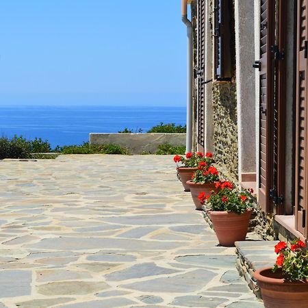 Agriturismo Finagliosu Palmadula Kültér fotó