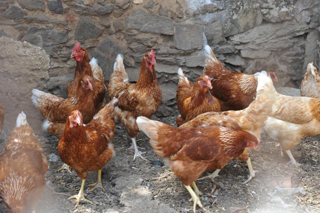Agriturismo Finagliosu Palmadula Kültér fotó