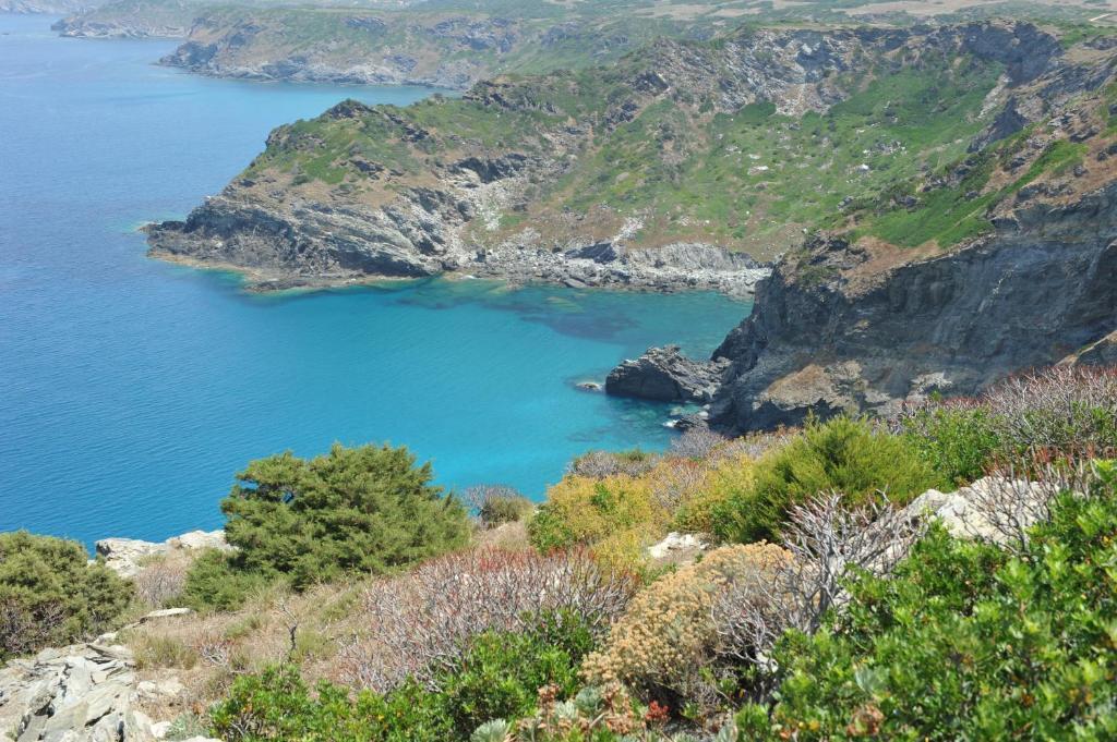 Agriturismo Finagliosu Palmadula Kültér fotó