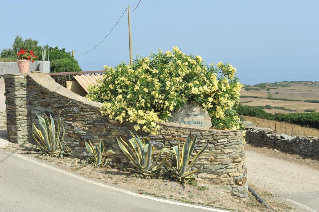 Agriturismo Finagliosu Palmadula Kültér fotó